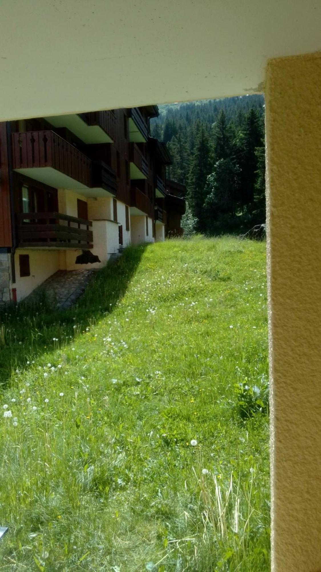 Appartement Au Pied Des Pistes فالموريل المظهر الخارجي الصورة